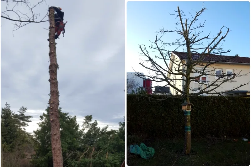 Zwei Ansichten von Baumarbeiten